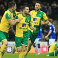 This statistic proves how vital Wes Hoolahan is to Norwich City