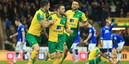 This statistic proves how vital Wes Hoolahan is to Norwich City