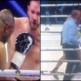 Watch: 46 year old Roy Jones Jr. should probably call it quits after this vicious KO
