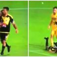 Watch: Irish striker only receives a yellow card for retaliation headbutt