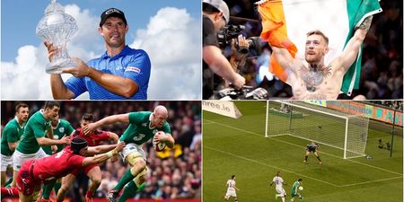 Ten days in 2015 when sport stopped the nation in its tracks