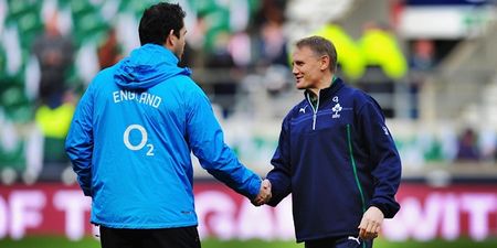 OPINION: Joe Schmidt clatters hornet’s nest with latest appointment