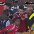 VIDEO: Steward abandons all professional inhibitions to celebrate wildly with players