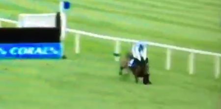 Video: Killultagh Vic’s Leopardstown triumph proves Ruby Walsh really is a miracle worker