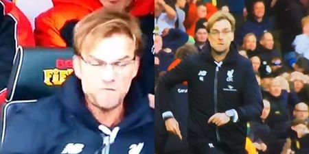 VIDEO: Jurgen Klopp lost his mind and glasses after Liverpool’s last minute winner