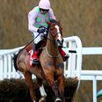 Well-oiled Faugheen ‘The Machine’ underlines class in sensational Champion Hurdle victory