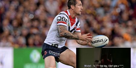WATCH: Australian Rugby League star Mitchell Pearce caught on camera performing lewd act with a dog (NSFW)