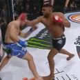 WATCH: Knockout artist Paul Daley scores another brutal walk off KO