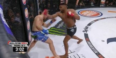 WATCH: Knockout artist Paul Daley scores another brutal walk off KO