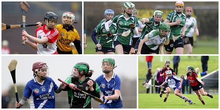 Just four camogie teams remain in quest for All-Ireland glory after ‘Super Sunday’ of action