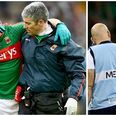 IRFU chief uses Lee Keegan concussion failings to highlight strength of rugby protocols