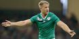 You have to feel for Luke Fitzgerald, the most unlucky man in Irish rugby