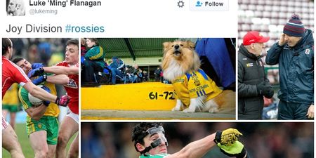 MEPs and dogs on the street celebrate Roscommon’s historic win over Kerry