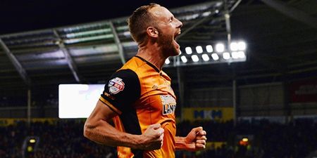 Calls ring out for David Meyler to make Euro 2016 squad after he frustrates the hell out of Arsenal
