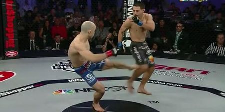 VIDEO: Marlon Moraes’ brutal knockout proves leg kicks can win fights