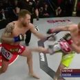 WATCH: Knockout artist Justin Gaethje suspended for an incredibly dumb reason