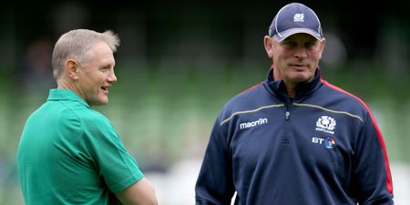 Joe Schmidt expecting a poor-mouth call from his old buddy Vern Cotter this week