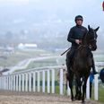Your top tips for the opening day of Cheltenham from Hayley O’Connor of Ladbrokes
