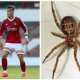 PIC: Footballer returns to training after venomous spider bite left him with a hole in his arm