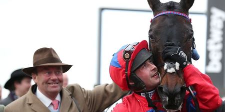 Cheltenham 2016: Results and reports from Day Two of the Festival