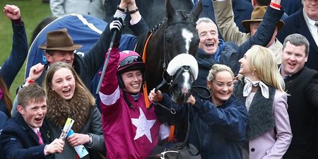 WATCH: Meath town gives Gold Cup champion Don Cossack a hero’s welcome