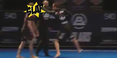 WATCH: Jake Shields goes full Nate Diaz on opponent after grappling match ends as draw