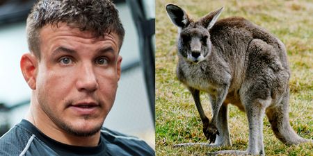 UFC legend Frank Mir not ruling out kangaroo meat causing drug test failure