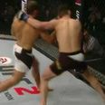 WATCH: Mairbek Taisumov renders opponent unconscious with monstrous uppercut