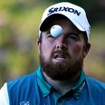 WATCH: Shane Lowry knows exactly what he is going to do with that hole-in-one ball