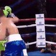 WATCH: Knockout monster Gennady Golovkin beats Dominic Wade to score 22nd KO in a row