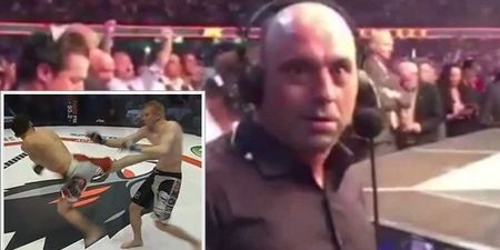 WATCH: Joe Rogan would be proud of this gorgeous spinning back kick TKO from Russia