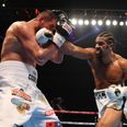 This is how much David Haye earned from his two-round KO destruction of Arnold Gjergjaj