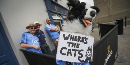Cat Laughs and Cat Fears as Dublin take their high-spirited show on the road