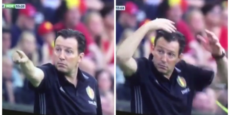 WATCH: Marc Wilmots has a very distinguishable way of signalling for Marouane Fellaini