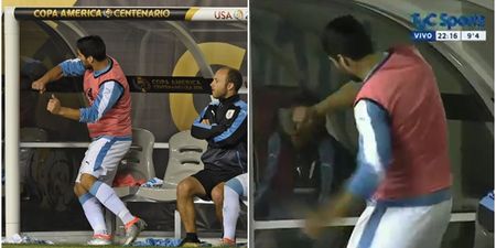 Watch: Luis Suarez throws a tantrum as Uruguay get knocked out of the Copa America