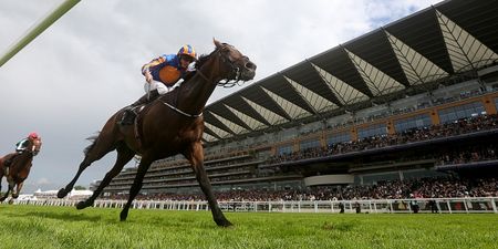 Royal Ascot 2016: Your tips for the final day courtesy of Hayley O’Connor of Ladbrokes