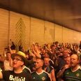 Germany and Northern Ireland fans bond over Will Grigg fever