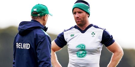 Luke Fitzgerald had a stand-up row with Joe Schmidt before the Argentina defeat