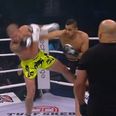 This brutal 12-second knock-out saw American kickboxer fall like an axed tree