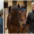 WATCH: Early starts and many gallops – a day in the life of a trainer preparing for Longines Irish Champions Weekend
