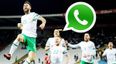 Daryl Murphy’s late heroics predicted in all too glorious WhatsApp conversation