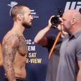Dana White suggests that CM Punk’s UFC career could already be over