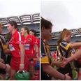 WATCH: Handshakes turn to handbags as tensions simmer before camogie final