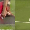 VIDEO: Benfica defender literally knocked unconscious by Ricardo Quaresma rocket