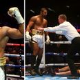 David Haye could fight for world title as he confirms December ring return