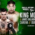 Bellator teams up with BAMMA to showcase the likes of James Gallagher, Dylan Tuke and Alan Philpott