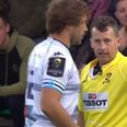 WATCH: Nigel Owens sternly tells off Francois Steyn for ungentlemanly conduct