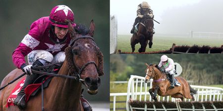 The five horses to look out for at the Fairyhouse Winter Festival
