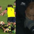 WATCH: Eddie Jones’ reaction to Dylan Hartley nearly decapitating Sean O’Brien says it all