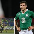 Gordon D’Arcy leads criticism of Dylan Hartley’s six week ban